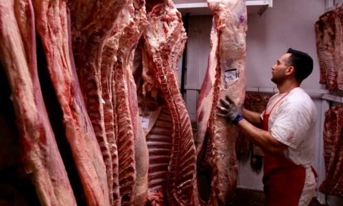 Cuáles son los cortes de carne que se venderán a precios más bajos