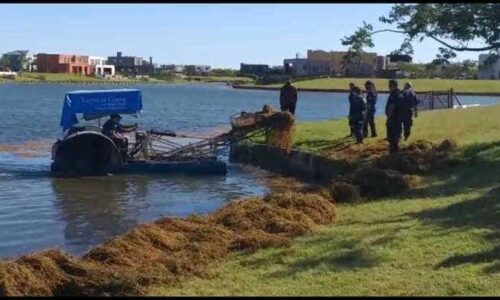 BUSCAN POR TIERRA, AGUA Y AIRE A UN NENE DE 3 AÑOS QUE DESAPARECIÓ EN TUCUMÁN