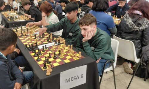 Más de 200 estudiantes de toda la provincia participaron de la final del torneo provincial de ajedrez escolar