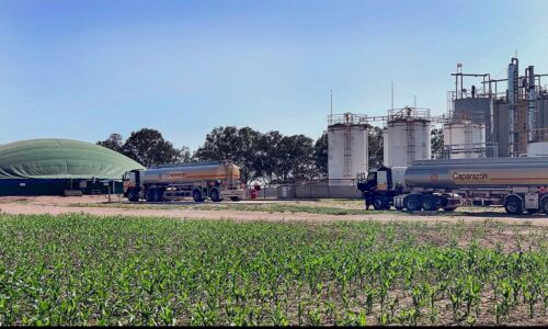Biocombustibles: Una nueva ley abriría a Córdoba más oportunidades de inversión, producción y empleo