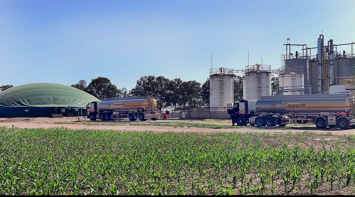 Biocombustibles: Una nueva ley abriría a Córdoba más oportunidades de inversión, producción y empleo
